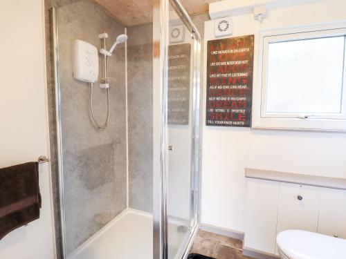 a shower in a bathroom with a toilet and a sink at Chalet Forte in Aberdyfi