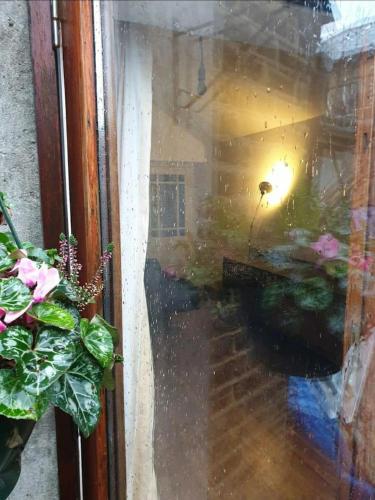 uma janela ensopada de chuva com um vaso de planta num quarto em Private double bedroom ensuite with patio em Londres