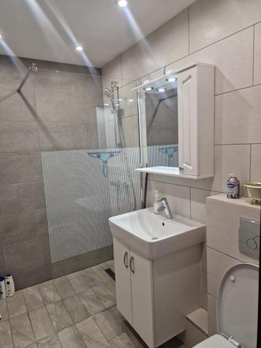 La salle de bains est pourvue d'un lavabo, d'une douche et de toilettes. dans l'établissement Special apartment NADEVA, à Suceava