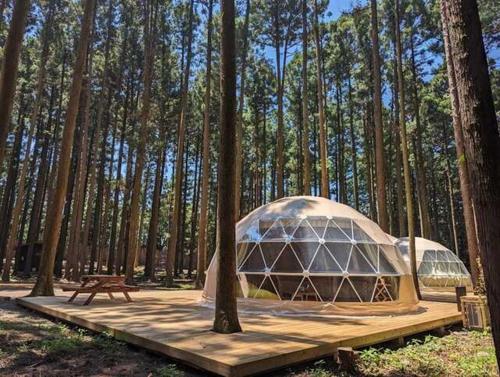 a couple of igloo tents in a forest at Akagi Tokiwa Forest Campsite - Vacation STAY 84739v in Shibukawa