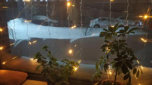 Una vista de un patio cubierto de nieve con luces. en Hostel Caps Home, en Astana