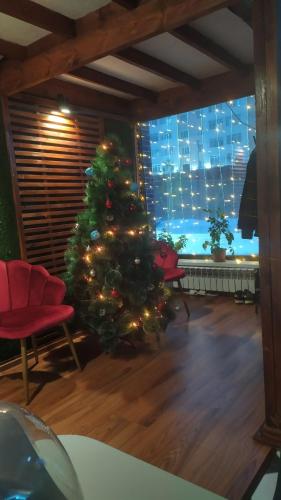 a christmas tree in a room with a window at Hostel Caps Home in Astana