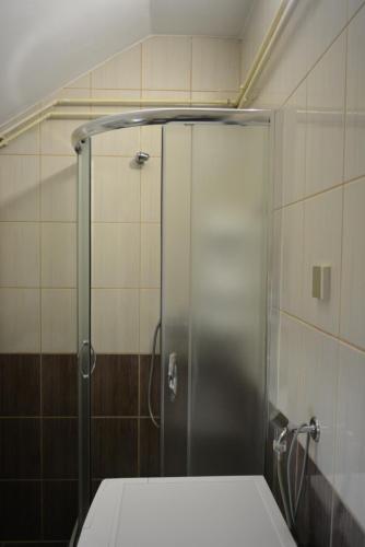 a shower with a glass door in a bathroom at Apartment Ematours in Požega