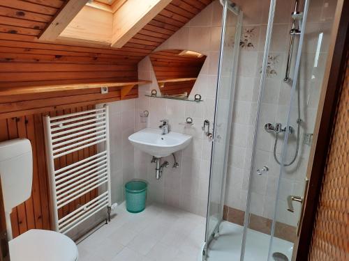 a bathroom with a shower and a sink and a toilet at Apartments Vidic in Bled