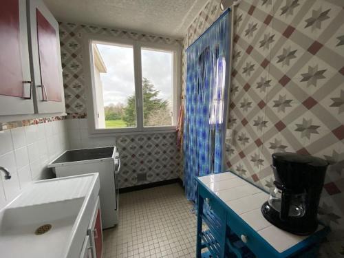 a bathroom with a sink and a toilet and a window at Ambiance vintage pour 2 in Saint-Cyr-sur-Loire