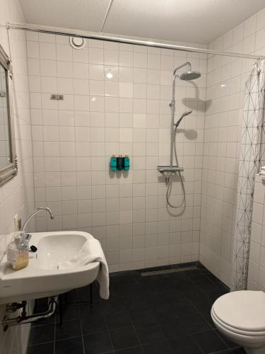 ein Bad mit einer Dusche, einem Waschbecken und einem WC in der Unterkunft Hubanet in Giethoorn