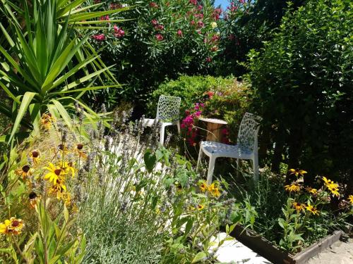 Deux chaises dans un jardin avec des fleurs et des plantes dans l'établissement Paradis au soleil, à Alignan-du-Vent