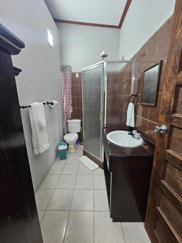 ein Bad mit einem Waschbecken, einer Dusche und einem WC in der Unterkunft Cozy Flat in San Ignacio Close to Downtown! in San Ignacio