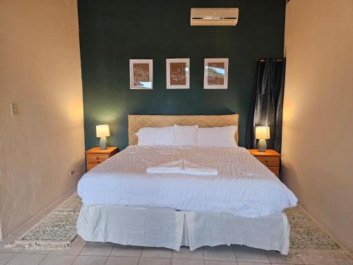 ein Schlafzimmer mit einem großen weißen Bett mit zwei Lampen in der Unterkunft Cozy Flat in San Ignacio Close to Downtown! in San Ignacio