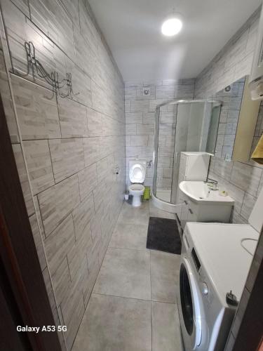 a bathroom with a toilet and a sink and a shower at Apartman T&N in Šušnjari