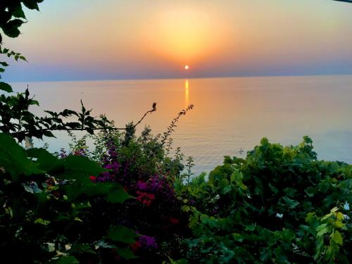 a sunset over the water with plants in the foreground at Daenerys Home in Agios Ioannis Papa Nero in Agios Ioannis Pelio