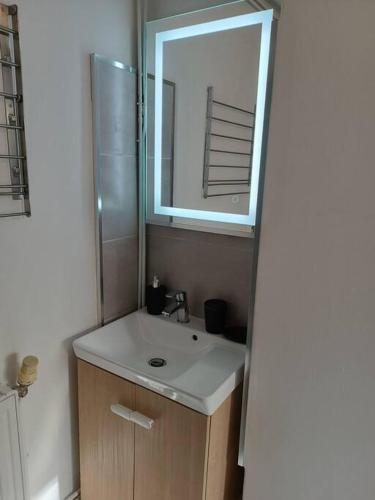 une salle de bain avec un lavabo et un miroir dans l'établissement Élégant T2 proche hypercentre, à Toulouse