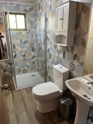 a bathroom with a toilet and a sink and a shower at Cabañas Doña Regina in Constitución