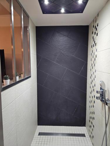baño con ducha con pared negra en Maison contemporaine, en Mondoubleau