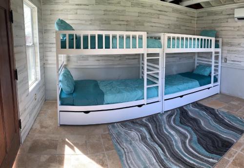 2 łóżka piętrowe w pokoju z dywanem w obiekcie The Peacock House w mieście San Antonio
