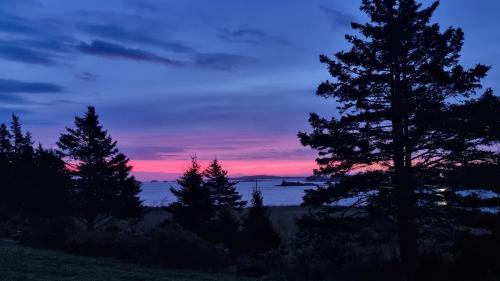 a sunset over the ocean with trees in the foreground at Oceanfront Apartments in Port Dufferin