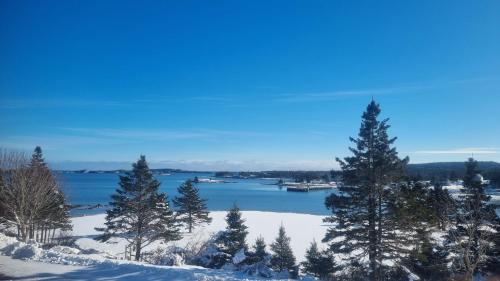 a view of a body of water with trees and snow at Oceanfront Apartments in Port Dufferin