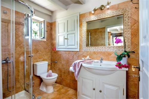 y baño con aseo, lavabo y ducha. en Studio Petrino - A holiday nest!, en Velianitátika