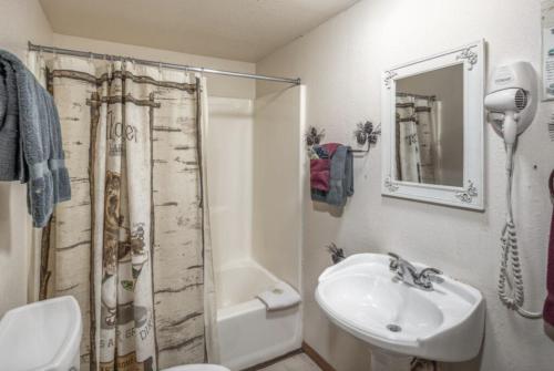 a bathroom with a sink and a toilet and a shower at Canyon Cabins in Ruidoso