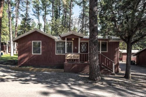 a cabin in the woods with a tree at Canyon Cabins in Ruidoso