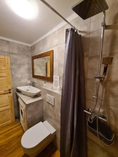 ein Bad mit einem WC, einem Waschbecken und einer Dusche in der Unterkunft Chata pri Veľkej Rači in Oščadnica