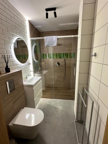 La salle de bains est pourvue d'une douche, de toilettes et d'un lavabo. dans l'établissement Dom Bystrzyk, à Karpacz