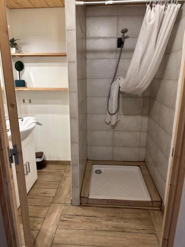 ein Bad mit Dusche und Duschvorhang in der Unterkunft Appartement T3+Mezzanine CHARLOTTE in Courchevel