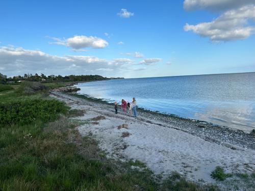 un grupo de personas de pie en una playa cerca del agua en Mormors Gårdhus ved stranden, en Rude