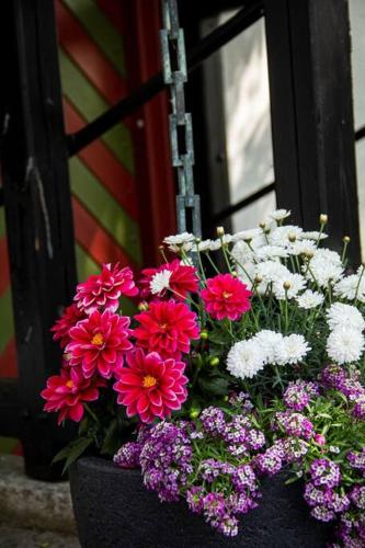 a bunch of pink and white flowers in a window at The Mill House - Saeby Watermill in Sæby
