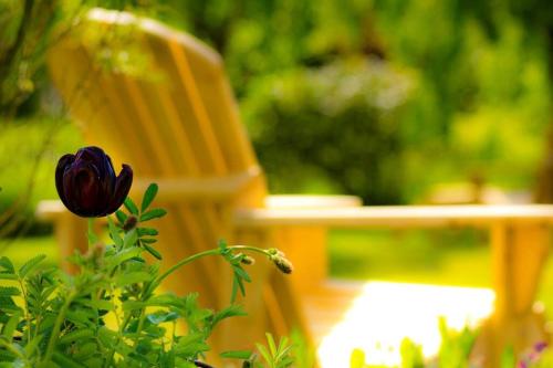 a yellow chair and a flower next to a bench at The Mill House - Saeby Watermill in Sæby