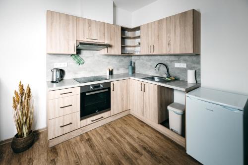 A cozinha ou cozinha compacta de Byt 21 v Rezidenci Bílý lev na náměstí