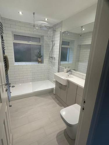 a bathroom with a toilet and a tub and a sink at Allt Lwyd - Peaceful & Tranquil Setting in Bangor