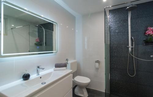 a bathroom with a shower and a sink and a toilet at Apartment Marendić in Obrovac Sinjski