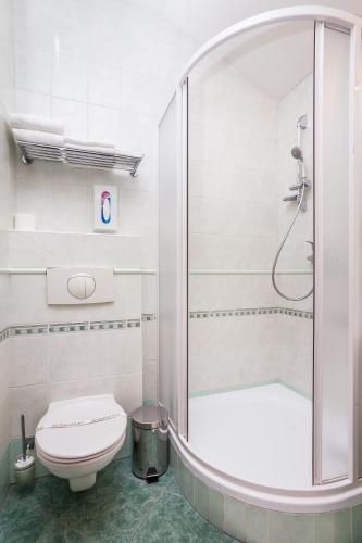 a bathroom with a shower and a toilet at Hotel Jelínkova vila in Velké Meziříčí