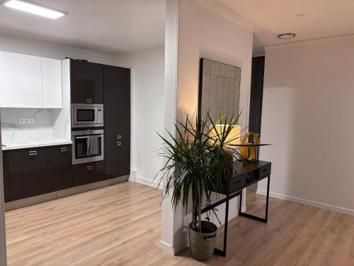 una cocina con armarios negros y una mesa con una planta en Appartement 120m2 à Enghiens les bains, en Enghien-les-Bains