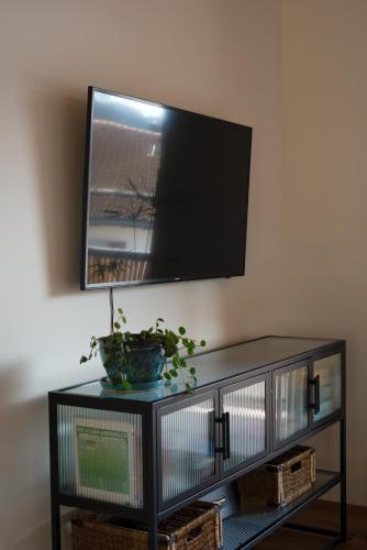 a television on a shelf with a plant on it at Neu! Auszeit in der Bergen in Wertach