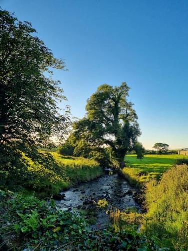 a river with a tree in the middle of a field at The Lodge at Heathfield House in Ballycastle