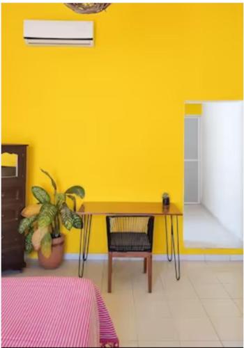 a yellow room with a table and a potted plant at El canario in Mérida