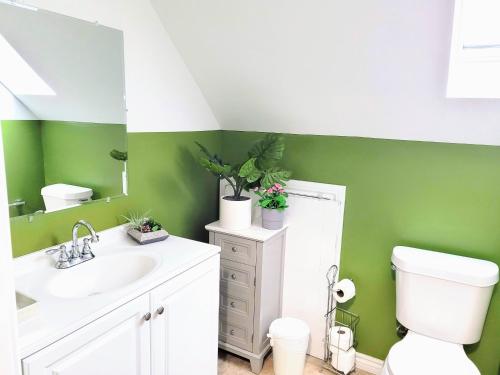 baño con lavabo blanco y pared verde en Nice and cozy whole house 25min to Niagara falls, en Buffalo