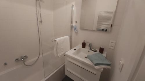 ein weißes Bad mit einem Waschbecken und einer Dusche in der Unterkunft Courbevoie lodge in Louvain-la-Neuve