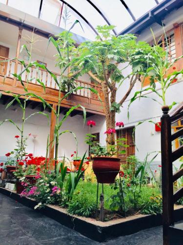 una exposición de plantas y flores en un edificio en Cusco el Conquistador, en Cusco