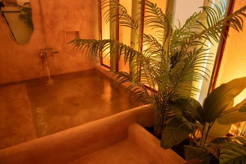 a room with a bath tub with plants in it at NOA by DW in San Juan