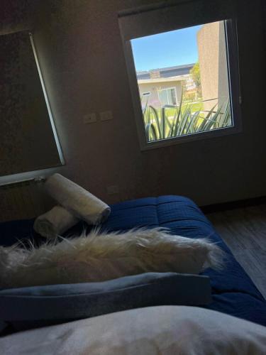 a dog laying on a bed in a room with a window at Tandil del Lago in Tandil