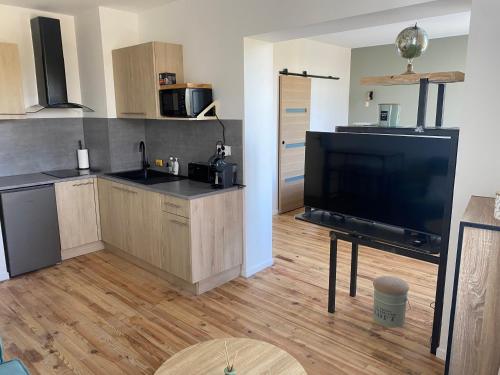 - une cuisine avec une grande télévision à écran plat dans la chambre dans l'établissement Studio1, à Avignon