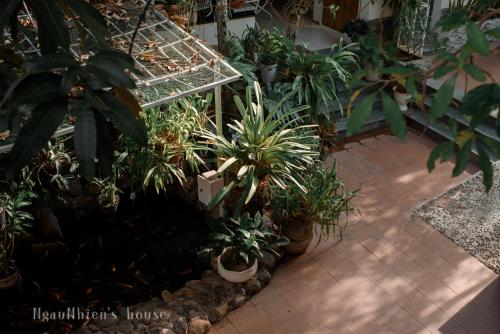 a room filled with lots of potted plants at ngaunhien's house - Homestay in Thôn Dư Khánh