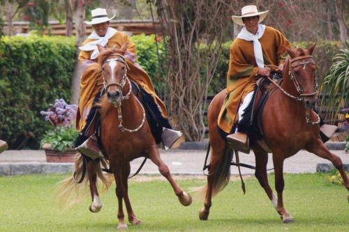 two men riding on horses in the grass at La Arteza Pacasmayo in Pacasmayo