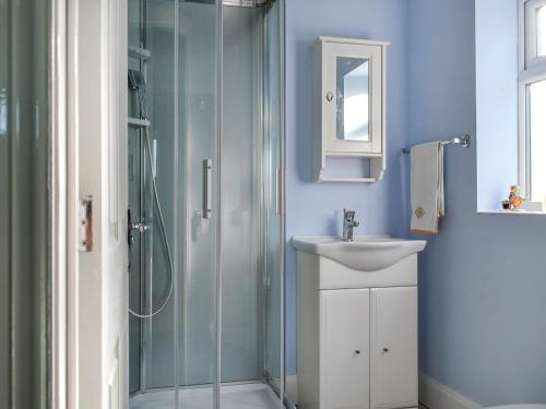 W łazience znajduje się szklana kabina prysznicowa i umywalka. w obiekcie Pondside w mieście Boston