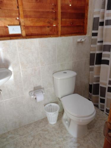 a bathroom with a toilet and a sink at sapiens house cabaña del lago premium in Cali