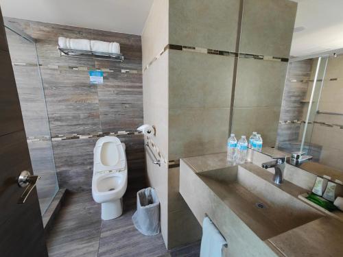 y baño con aseo y lavamanos. en Kasa Hotel & Suites, en Irapuato
