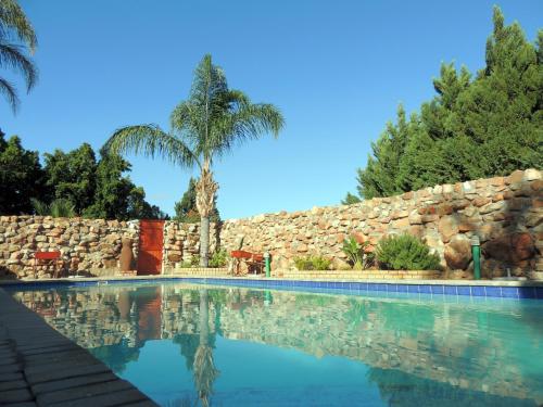 a swimming pool with a stone wall and a palm tree at Oasis Country Lodge in Klawer